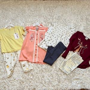2T/24 month Toddler Girl lot